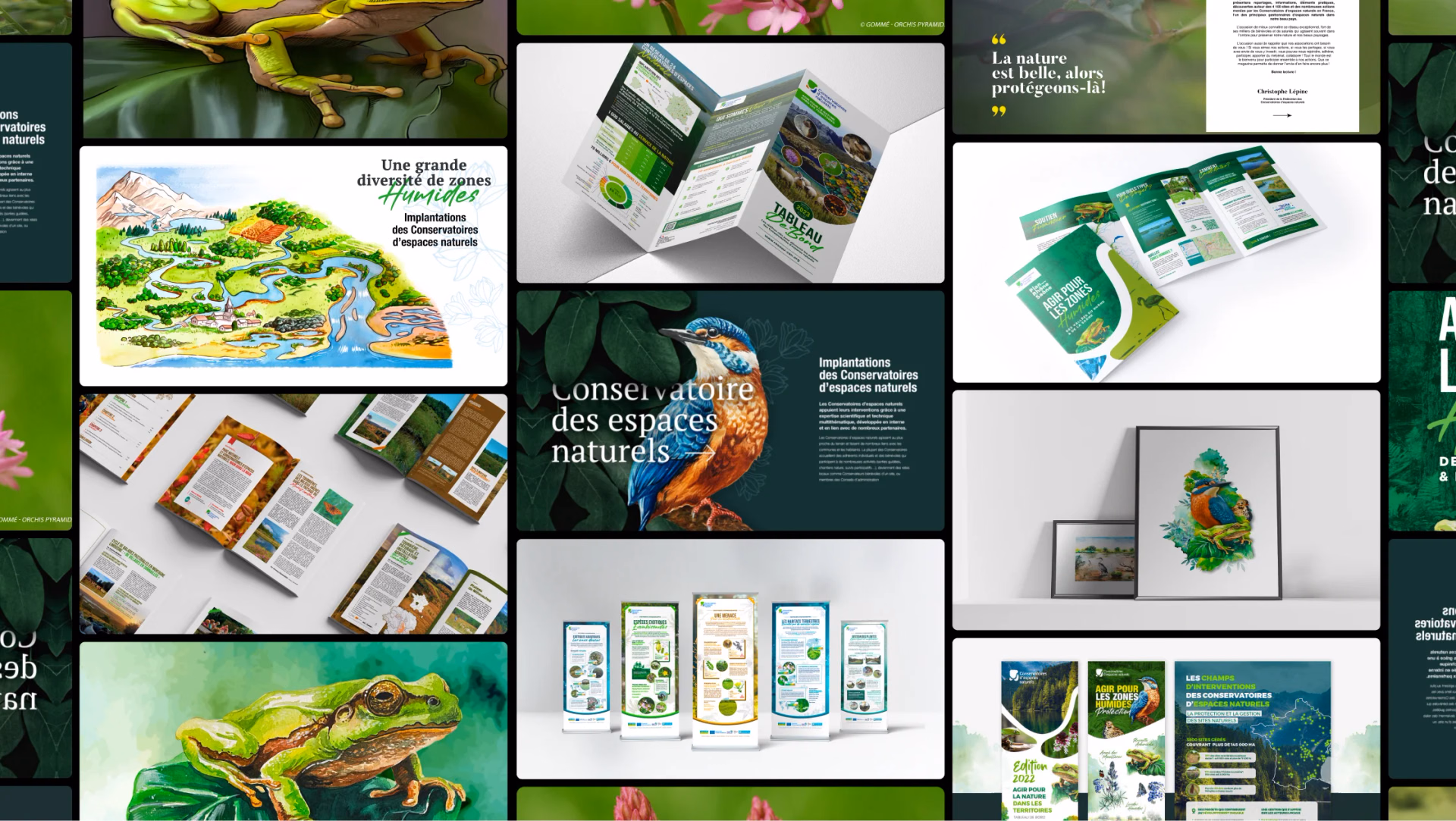 Vue d’ensemble de supports de communication et d’illustration naturaliste