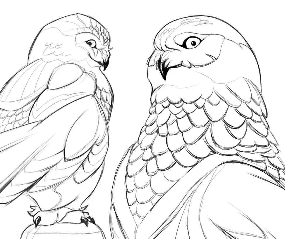 Croquis d’une mascotte hibou