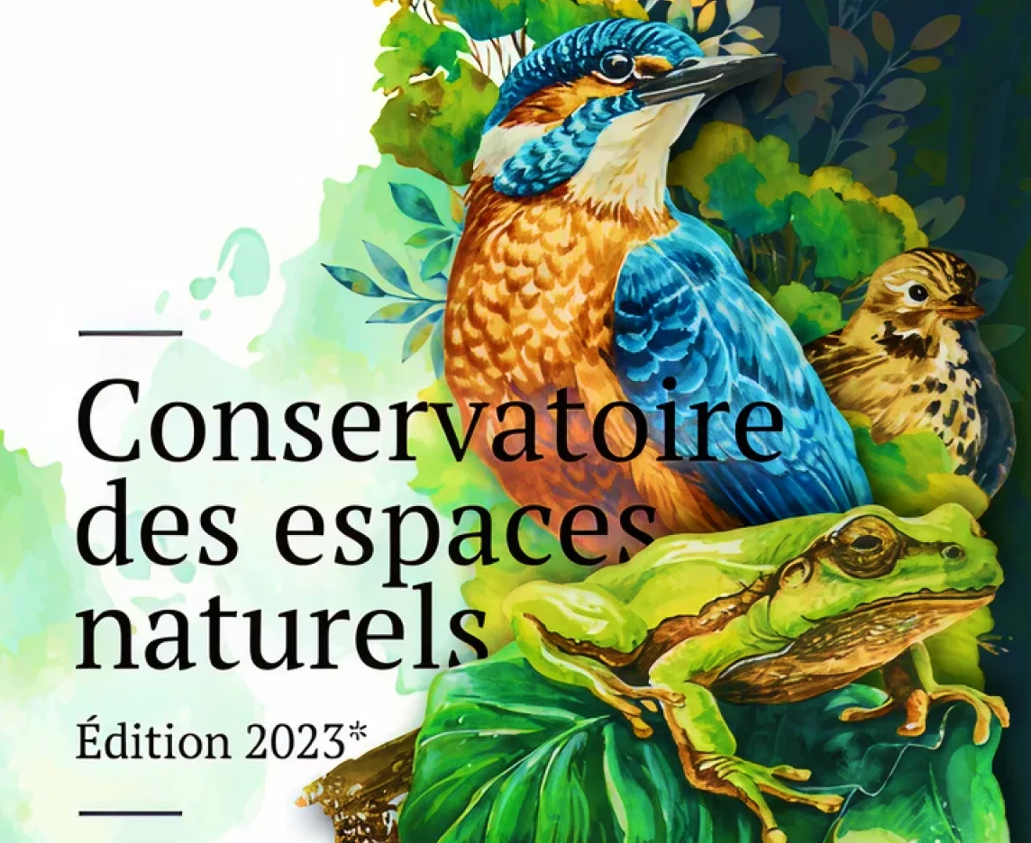 Illustration naturaliste de couverture