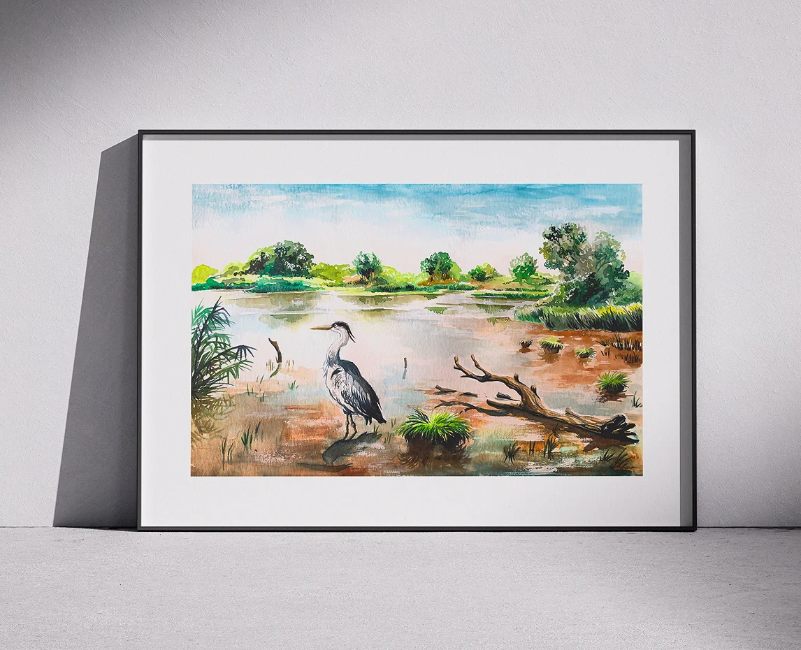 Illustration naturaliste encadrée