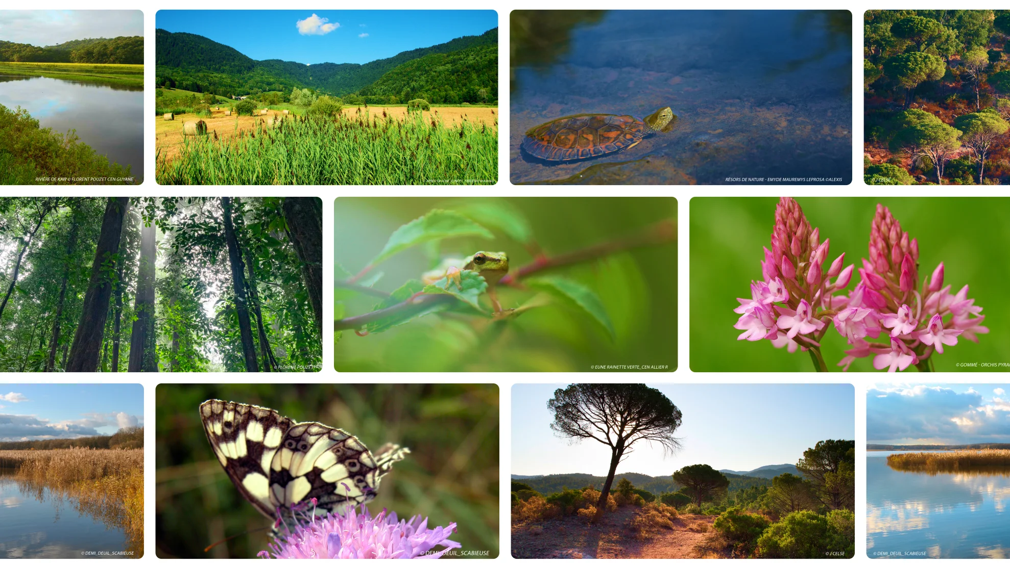 Photos de nature et de biodiversité